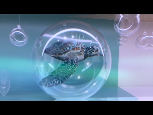 PROMOTION VIDEO FOR EVOLCARE (PACKAGE E） — V1.media企業影片製作作品
